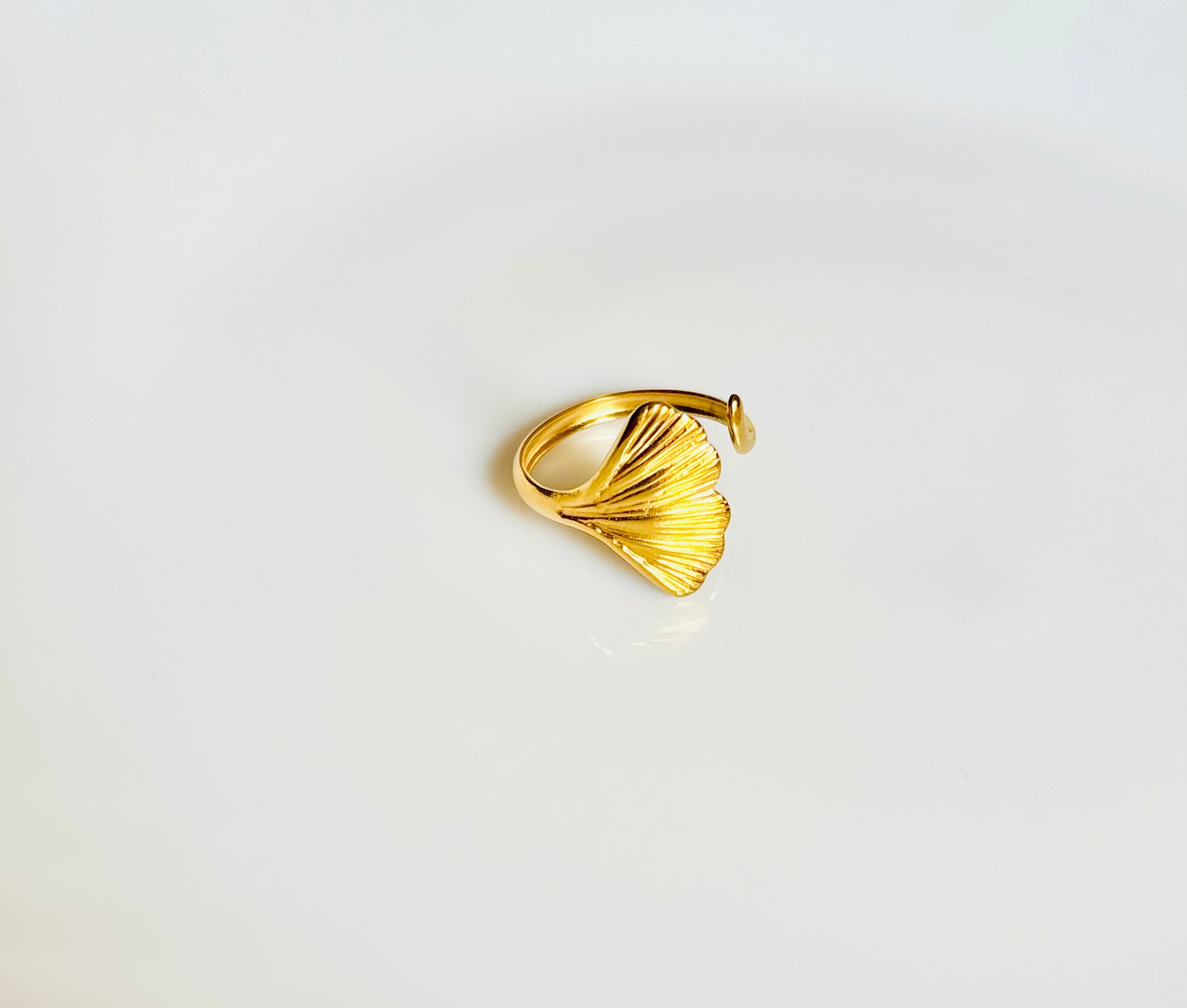 Leaf, golden, pretty, sister, rakhi, raksha bandhan, gift