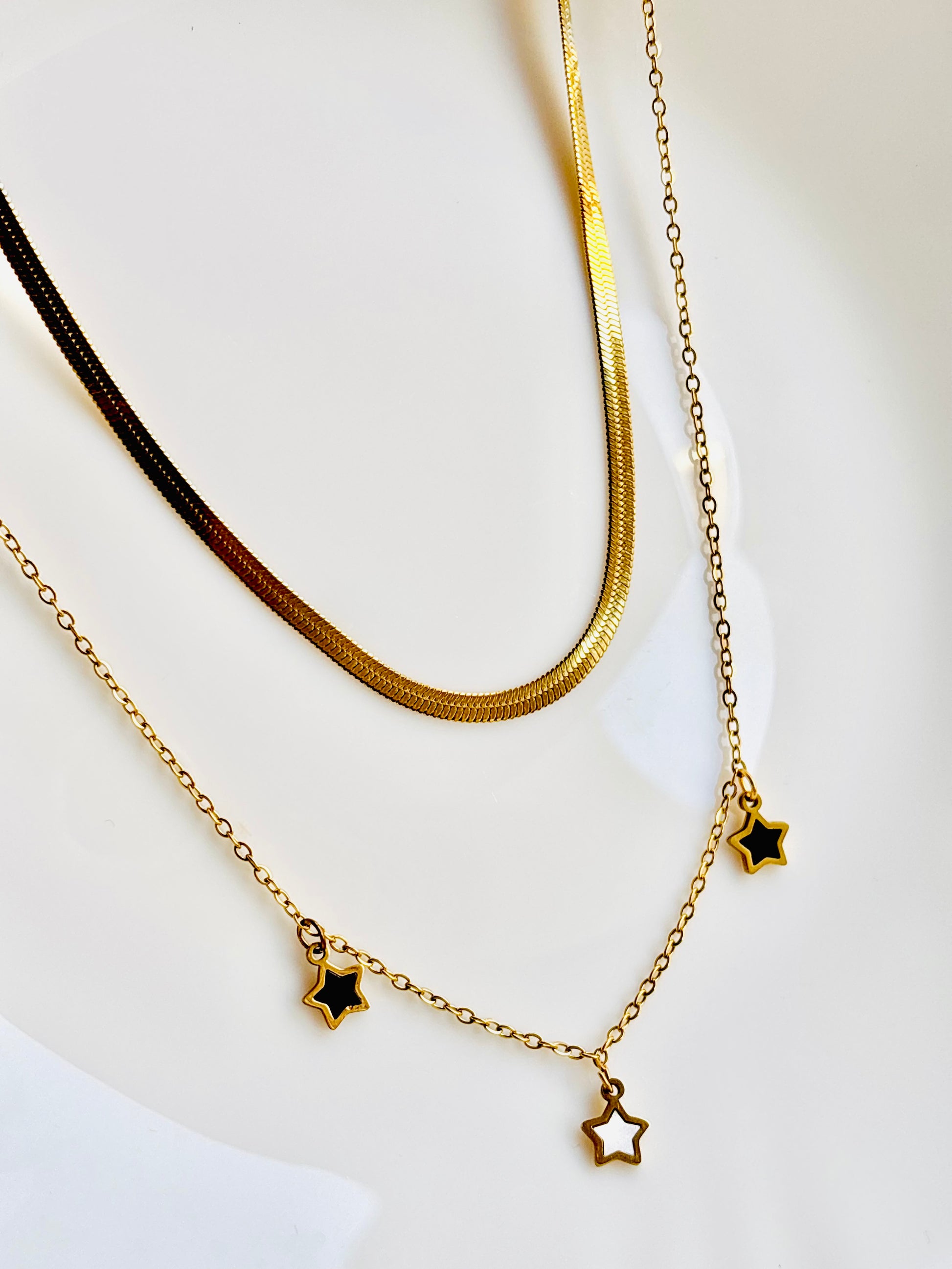 Double layer; necklace; anti tarnish; waterproof; trendy; classic; classy; go-to; chain; snake chain